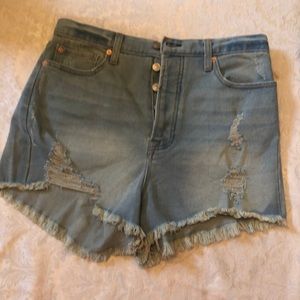 NWT BBJ shorts